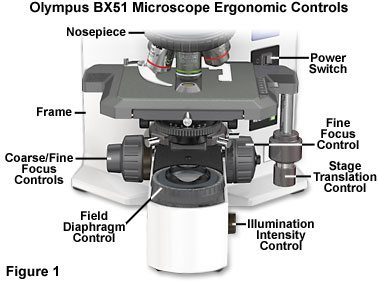 condenser adjustment knob microscope