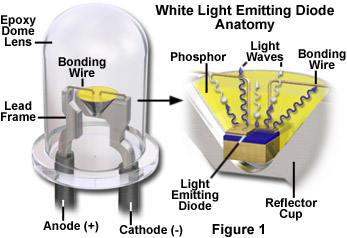 Molecular Expressions Microscopy Primer: Physics of Light and Color - Light  Emitting Diodes: Interactive Tutorial