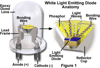fotografering Koge Deqenereret Molecular Expressions Microscopy Primer: Physics of Light and Color -  Introduction to Light Emitting Diodes