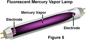 examples of fluorescent light sources