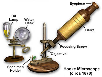 Robert hooke microscope magnification