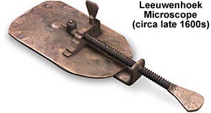 leeuwenhoek