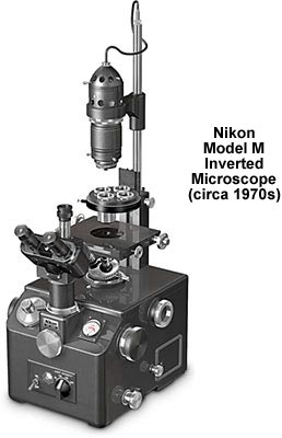 Molecular Expressions Microscopy Primer: Photomicrography - Black