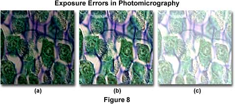 Fluorescence Microscopy Errors