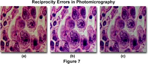 Molecular Expressions Microscopy Primer: Photomicrography - Black & White  Film Processing Errors