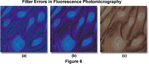 The Importance of the Correct Coverglass thickness for Photomicrograph