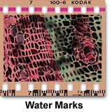 Molecular Expressions Microscopy Primer: Photomicrography - Black & White  Film Processing Errors