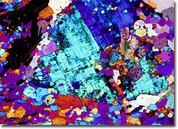 biotite microscope