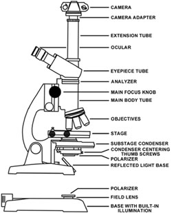 Molecular Expressions: Microscopy Publications ... polarizing light micrscope diagram 