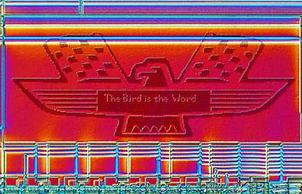 The Bird is the Word